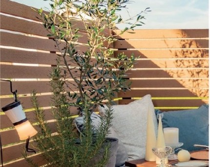 1764989774709-1047951c-f6c7-4cdc-be32-8ddcee8ad05d_2-e1764990042125