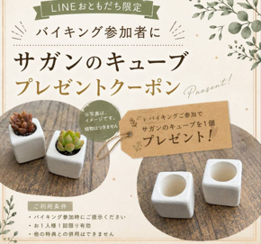 LINEクーポン　サガンのキューブ