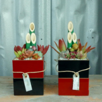 アポアショップ 小さなお正月寄せ植え アポアショップ 小さなお正月寄せ植え