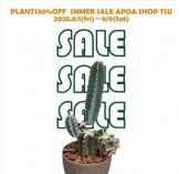 植物セール　アポア津