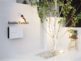 オンリーワン　パーサスデコ