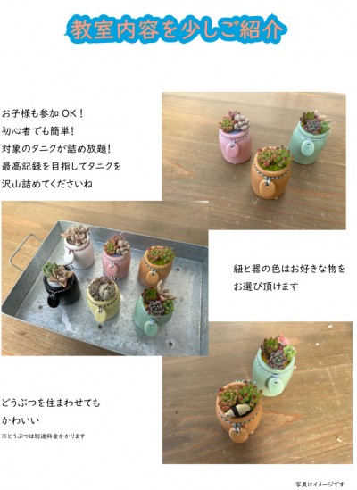 イベント　アポアショップ