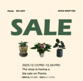 アポアショップ 植物SALE アポアショップ 植物SALE