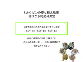 イベント　アポアショップ