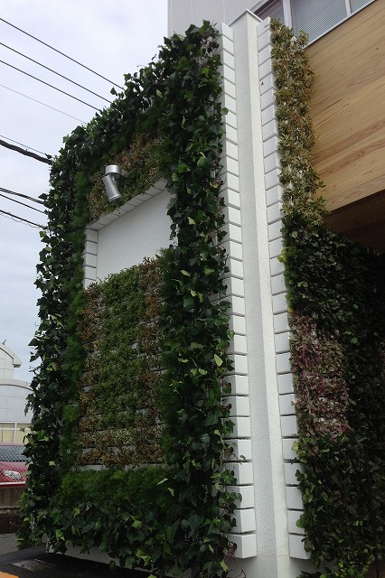 壁面緑化　ハンギング　屋上、壁面