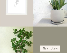 観葉植物　アポアショップ