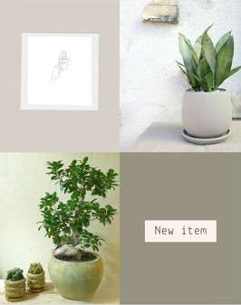 観葉植物　アポアショップ